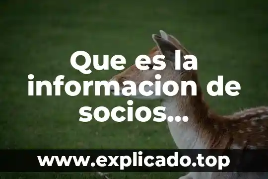 Que es un software de manejo de informacion 6 Que es la informacion de socios comerciales