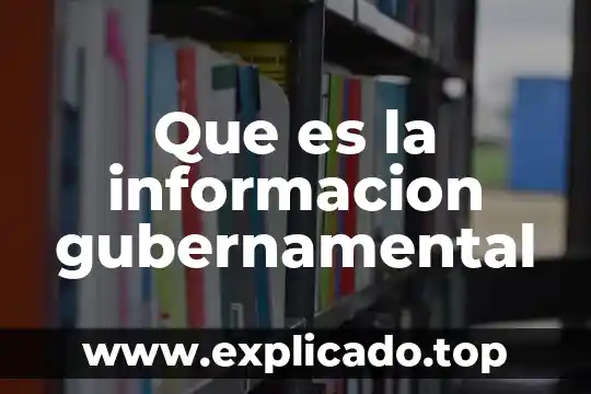 Plantillas web responsive que es 4 Que es la informacion gubernamental