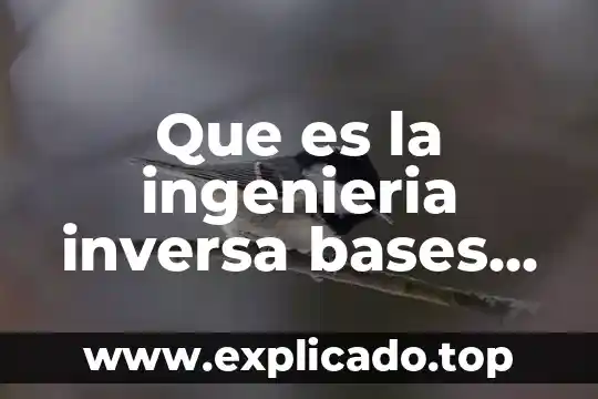 Bases profilácticas que es 3 Que es la ingenieria inversa bases de datos