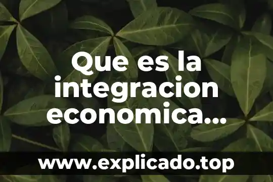 Que es la etapa de integración 8 Que es la integracion economica entre paises