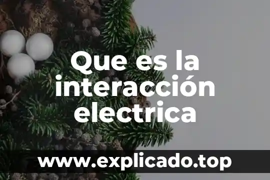 Que es la interacción electrica