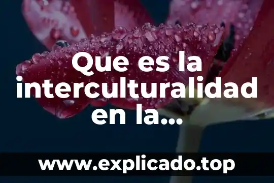 Que es muerte enfermeria 4 Que es la interculturalidad en la enfermeria