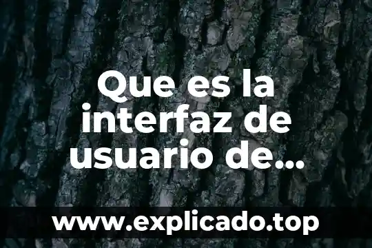 Que es devexpress e interfaz grafica de usuario 6 Que es la interfaz de usuario de word