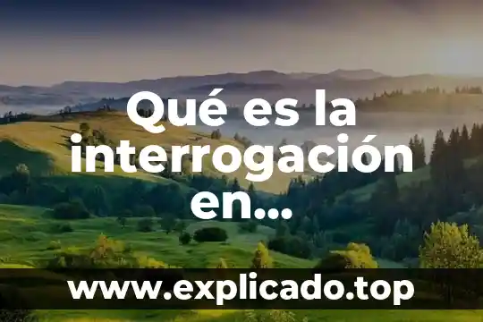 Que es un esquema en la investigación 4 Qué es la interrogación en investigación