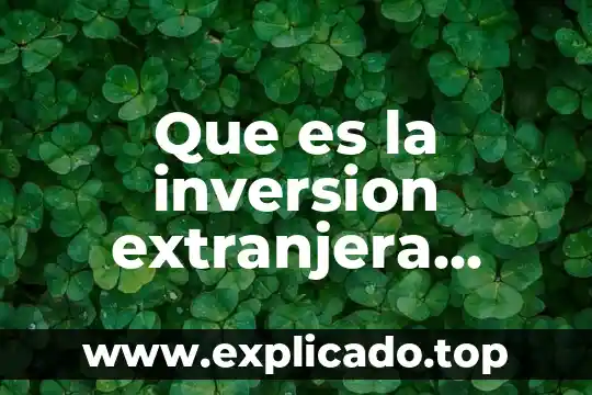 Que es un estuiron de comida 4 Que es la inversion extranjera directa bilateral