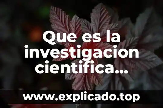 Que es una aficion personal ejemplos 7 Que es la investigacion cientifica caracteristicas