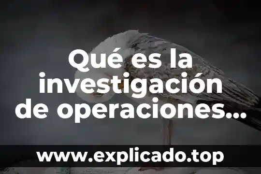 Que es un proceso de investigacion de operaciones 4 Qué es la investigación de operaciones el origen