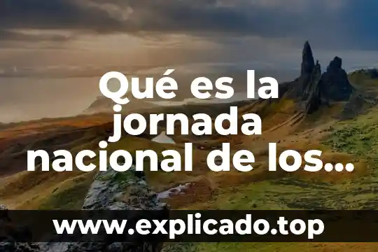 Que es centro nacional de rehabilitación 8 Qué es la jornada nacional de los jóvenes