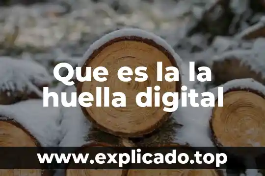 Que es un hulle digital 3 Que es la la huella digital