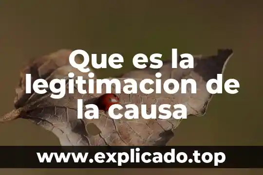 Que es corrupccion y que lo causa 6 Que es la legitimacion de la causa