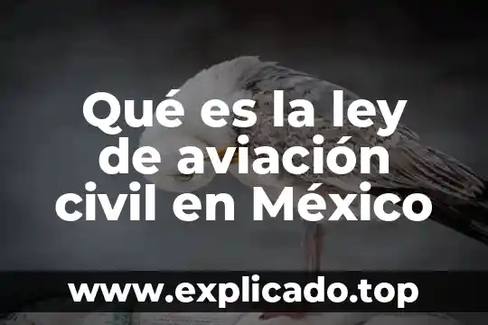 Que es objetivo general en administracion 4 Qué es la ley de aviación civil en México