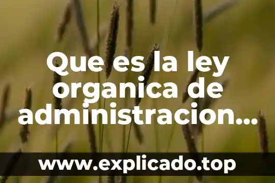 Qué es una molécula orgánica ejemplos 5 Que es la ley organica de administracion publica