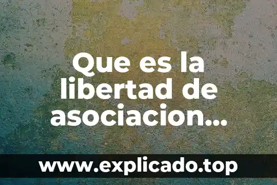 Que es la libertad de asociacion yahoo