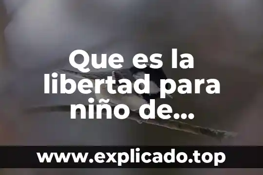 Que es la libertad para niño de primaria