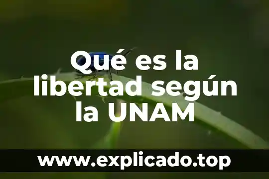 Qué es la libertad según la UNAM