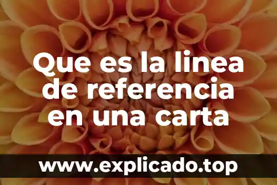 Que es la linea de referencia en una carta