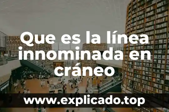 Que es punto como elemento de expresion plastica 5 Que es la línea innominada en cráneo
