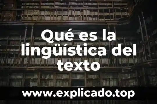 Qué es la diversidad linguística concepto 8 Qué es la lingüística del texto