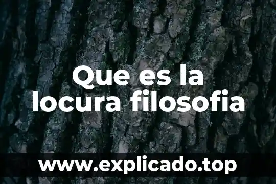Que es naturaleza en la filosofia 3 Que es la locura filosofia