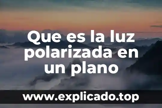 Qué es el plano caudal 3 Que es la luz polarizada en un plano