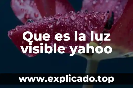 Efecto sheer que es 3 Que es la luz visible yahoo