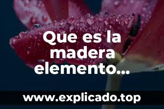 Que es y de que esta compuesto el sistema limbico 4 Que es la madera elemento compuesto o mezcla
