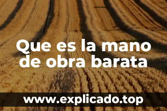 Que es la mano de fatima y para que sirve 8 Que es la mano de obra barata