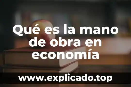 Que es la mano de obra barata 4 Qué es la mano de obra en economía