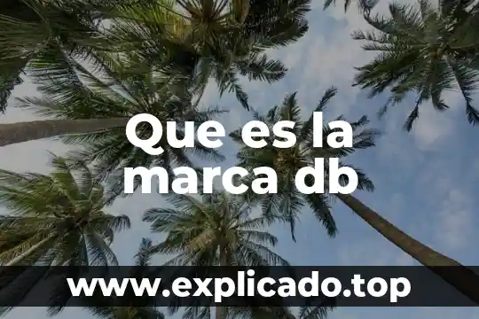 Que es fidelidad a la marca 8 Que es la marca db