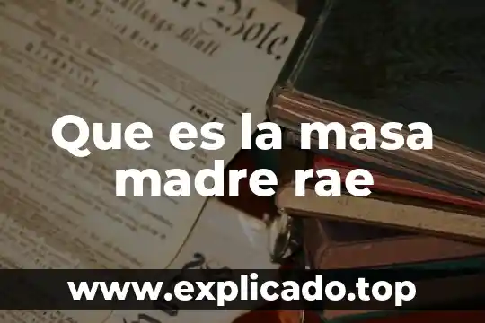 Qué es la capacidad de una tarjeta madre 4 Que es la masa madre rae