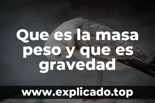 Qué es mejor ejercicio para bajar de peso 5 Que es la masa peso y que es gravedad
