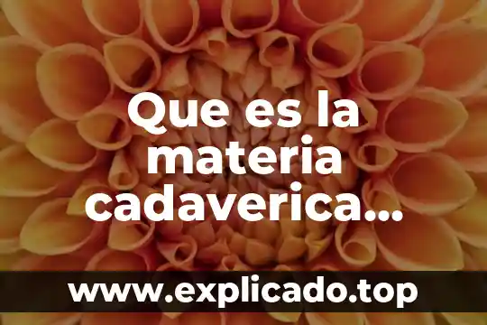 Que es acreditar en materia fiscal 7 Que es la materia cadaverica actualmente