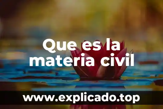 Qué es el dwm en redes 6 Que es la materia civil