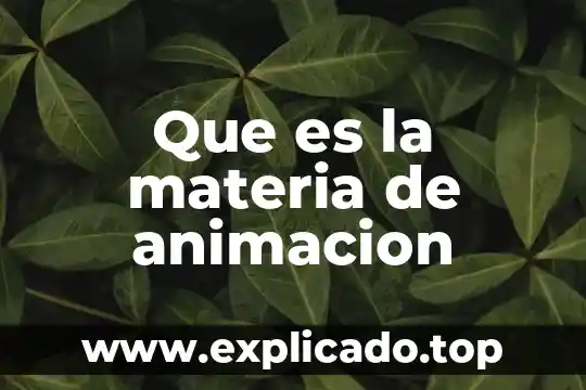 Que es un ensayo animacion 8 Que es la materia de animacion