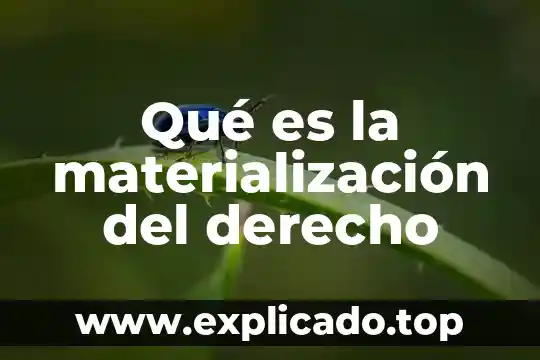 Que es consentida en derecho 5 Qué es la materialización del derecho
