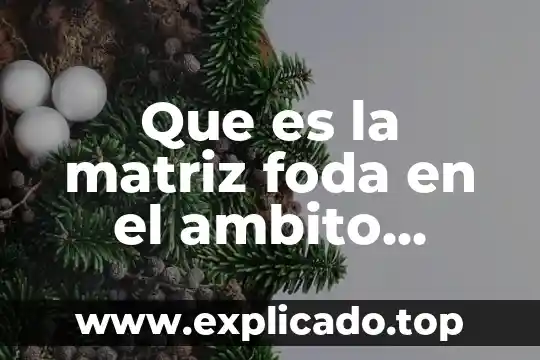 Que es analisis f.o.d.a de chamarras 4 Que es la matriz foda en el ambito educativo