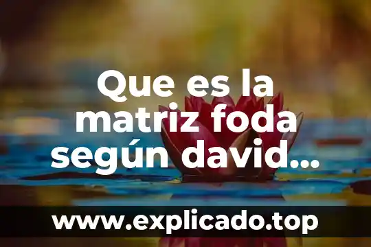 Que es analisis f.o.d.a de chamarras 7 Que es la matriz foda según david 1994