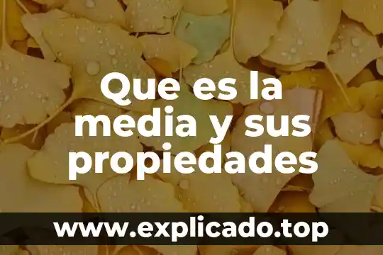 Que es el agua y sus propiedades fisicas ejemplos 6 Que es la media y sus propiedades