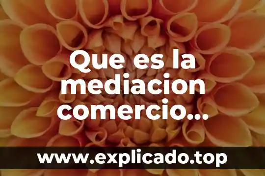 Proyecto web que es 8 Que es la mediacion comercio internacional