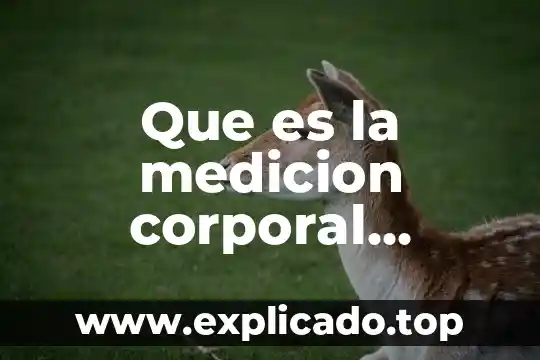 Que es la respiracion directa y el intercambio de gases 8 Que es la medicion corporal directa
