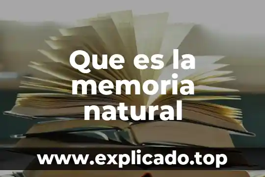 Que es memoria grafica de la rueda de prensa 3 Que es la memoria natural