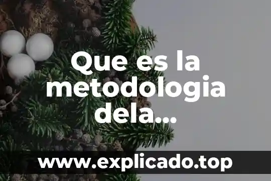 Que es la metodologia dela investigacion en arquitectura