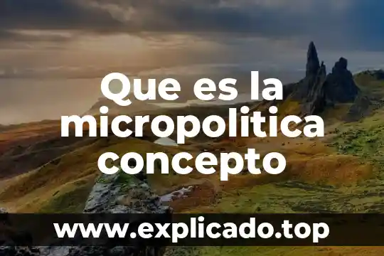 Que es la micropolitica concepto