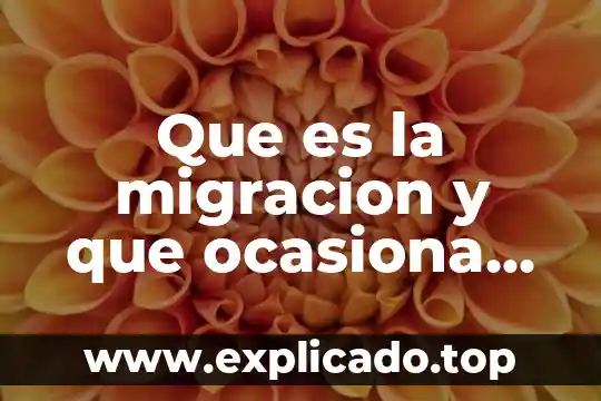 Que es un supuesto en derecho de familia 8 Que es la migracion y que ocasiona con la familia