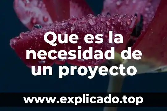 Qué es un proyecto prevenir de enfermedades 6 Que es la necesidad de un proyecto