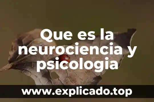 Que es la funcion afectividad en la psicologia 3 Que es la neurociencia y psicologia