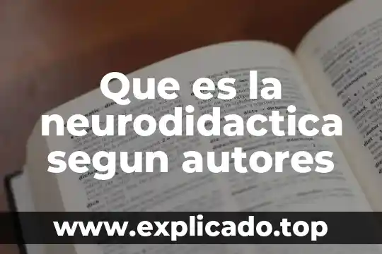 Que es la clasificacion autores 3 Que es la neurodidactica segun autores
