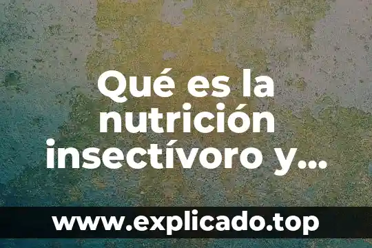 Que es el modelo tcp capas que lo integran 5 Qué es la nutrición insectívoro y qué animales la integran