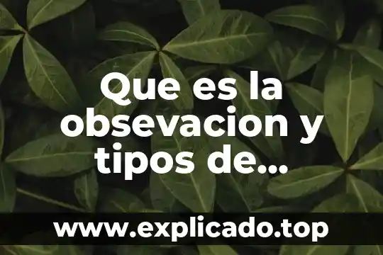 Que es la obsevacion y tipos de obcervacion