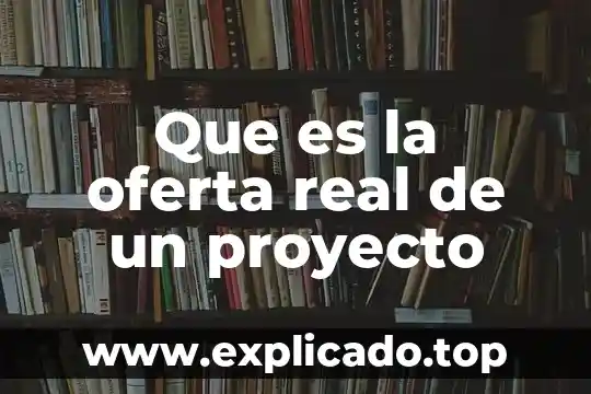 Qué es la oferta pública en mercado de dinero 7 Que es la oferta real de un proyecto